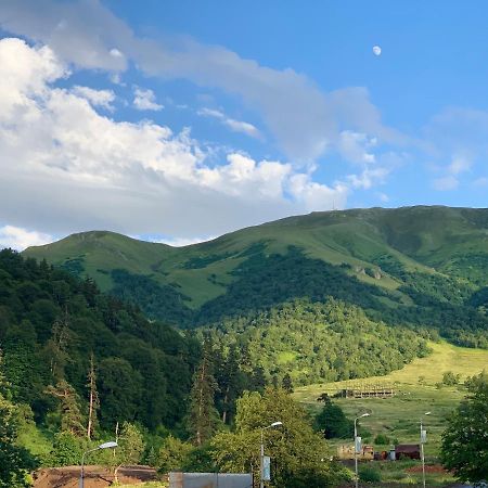 Bakuriani The Valley 115 - 202 Εξωτερικό φωτογραφία
