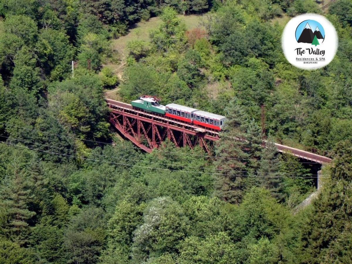 Bakuriani The Valley 115 - 202 Εξωτερικό φωτογραφία